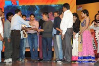Uyyala Jampala Movie Audio Release Photos